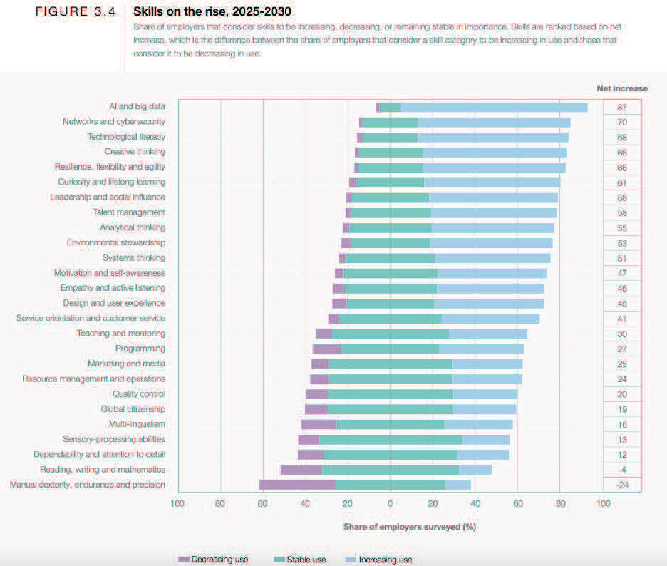 Source: World Economic Forum, Future of Jobs Report 2025
